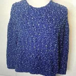 Thakoon Blue Sweater with 3/4 Quarter sleeves